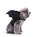 RYPET Cat Halloween Costume - Halloween Bat Wings Pet Costumes for Small Dogs Cats Halloween Party Small