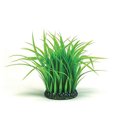 biOrb Medium Grass Ring, Colorful and Durable Aquarium Decorations, Green