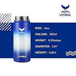 Vmini Water Bottle with Straw, Wide Rotating Handle
