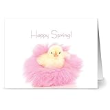 24 Easter Note Cards - Spring Chick - Blank Cards - Hot Pink Envelopes Included