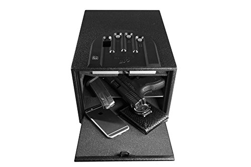 GunVault GVB2000 Multivault Biomtrc 10X8X14, Multi Vault