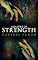 Livro Measure of Strength (Medida de Devoção Livro 2)