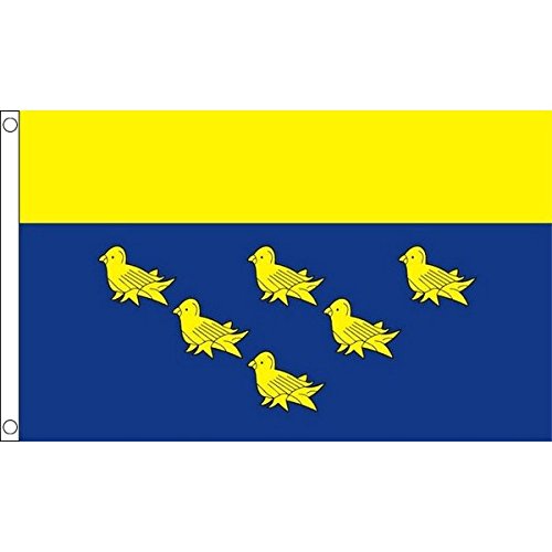 AZ FLAG - West Sussex County Flag - 2x3 Ft- 100D Polyester County Of West Sussex - England Banner with Two Metal Grommets - Fade Resistant - Vivid Colors - 2' x 3' Feet - 90x60 Cm