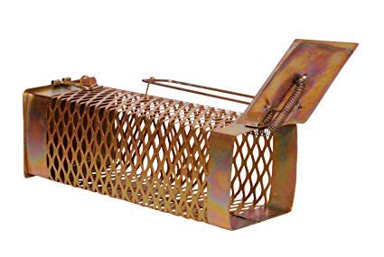 Mouse Trap, Rodent Trap/Cage/ Catcher to Capture Live Rat no Kill
