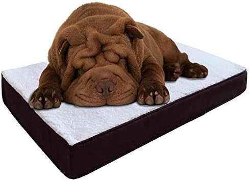 YUANYI 4 Inch Soft Memory Foam Orthopedic Dog Bed -Removable with Waterproof Liner(34in x 22in, Brown)