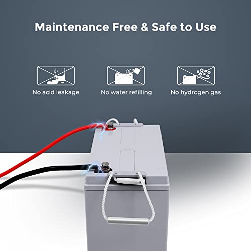 Renogy Deep Cycle AGM Battery 12 Volt 100Ah, 3 SelfDischarge Rate