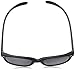 Blues Brothers Wayfarer Black Sun Glasses