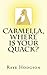 Carmella, Where Is Your Quack? (Common Sense, Duck Sense) (Volume 1) by Raye Hodgson, Kimberly Link
