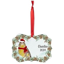 Wild Island Domestic Canary Christmas Ornament 2024