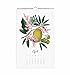 Rifle Paper Co 2017 Wall Calendar (Wall Calendar, Paradise Gardens)