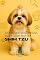 Livro Tudo o Que Você Precisa Saber para Criar um Shih Tzu: História, Saúde, Criação e Muito Mais (Conheça A Raça do Seu Cão)