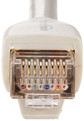 image for AmazonBasics RJ45 Cat7 Network Ethernet Patch Cable - 25 Feet, red