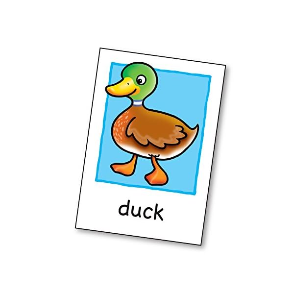Orchard Toys Flashcards, 50 Educational Double-sided Flashcards To Teach Reading and Number Skills, Perfect for Kids Age…