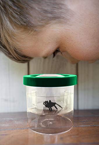 YYhappy childhood Nature Exploration Toys for 4-5 Year Old Boys Bug Viewer Box Plastic Transparent Insect Catcher Kit with 8 XMagnifying Lens Gifts for 4-8 Years Old Girl (Green) - Thumbnail 4