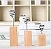 Yugust Air Plant Stand Holder,3Pcs Wooden Base Flower Stand with Copper Wire,Iron Wire Landscape Holder Airplant Container Tabletop Tillandsia Planter Desk Display Rackthumb 4