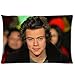 MMHDiy Custom Zippered Harry Styles Pillow Cases Cover 20x30inch two sides thv-41