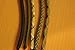 550 Paracord - Five Colors 100 Feet Total by The Paraloft