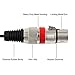 tisino 2 XLR Stereo to 1/4 TRS Y-Splitter Cable, Dual XLR Female to Quarter inch Headphone Jack Stereo Breakout Cable - 5ft / 1.5m