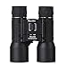 Luwint Qanliiy 30 x 40 HD Powerview Compact Folding Roof Prism Binocular for Hunting Hiking Bird Watching Concerts(Black)