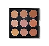 MORPHE That Glow Bronzer Palette 9BZ - Contour makeup powder kit