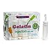 Party Essentials 1.5 Ounce Gelatin Shot/Gelatin Syringe Injectors with Caps, 12-Count, Clear