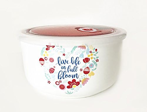 Ciroa Microwaveme Fine Porcelain Microwave Bowl with Silicone Seal Lid 6.5 Inch (LiveLifeBloom)