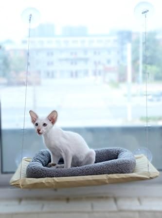Cat Sunny Seat Bed Suction Cups Window-Mounted Cats Hammock Perch Window Sill Shelf for Wall 360° Sunbath with Pad Weight to 30lb Maucelidom