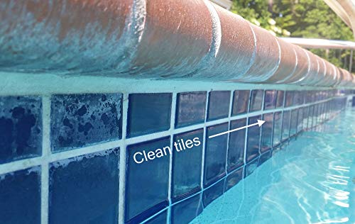 Scum Line Pool How To Clean Your Pool Scum Line Quickly β SIYE