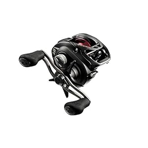 Daiwa Moulinet Moulé Profil Bas – Lh Fgct100hl Fuego Low Profilebaitcast Moulinet Gauche, Taille 100, 5bb 1