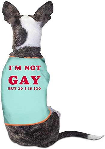 I'm Not Gay But 20 Bucks Is 20 Bucks Plain WarmDogs T Shirt Dress Plain Sleeveless Anxiety Calming Wrap Best Holiday Gift M SkyBlue