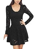 Allegra K Women's Scoop Neck Sheer Long Sleeves Floral Lace Mini Skater Dress