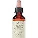 Bach Original Flower Remedy Cherry Plum 20 ml