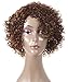 HUA Short Curly Human Hair Wigs for Black Women 8 inch Short Curly Wigs for Black Women No Lace Front Human Hair Wigs (WIG P4/27)