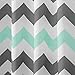 iDesign Chevron Shower Curtain, 54 x 78, Gray/Aruba