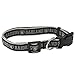 Pets First NFL Raiders Licensed PET COLLAR, Large - Heavy-Duty, Strong, and Durable Dog Collar. Available in 31 Football Teams and 4 Sizes