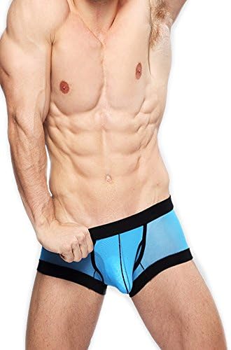 Misseurous Men's Underwear Mesh Trunks Boxer Briefs (M)