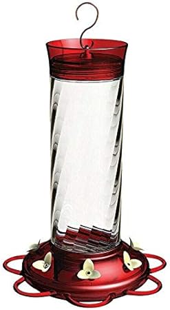 Amazon Com Woodstokstore More Birds 37 Diamond Hummingbird