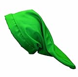 Alexanders Costumes Dwarf Hat, Green, One Size