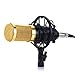 Excelvan BM-800 Cardioid Condenser Sound Studio Recording Microphone Mic with Shock Mount for Studio Recording