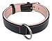 Soft Touch Collars Padded Dog Collar Leather, Black with Pink Padding, Size Large, Great for Female Dogs, 1.5