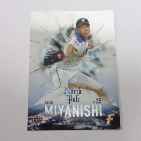 m19北海道日本ハムファイターズ インサートカード Np2 宮西尚生 ベースボールカード 毎日がバーゲンセール
