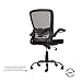 Ergonomic Office Chair Cheap Desk Chair Mesh Computer Chair with Lumbar Support Flip Up Arms Swivel Rolling Adjustable Mid Back Computer Chair for Women Men Adults,Black