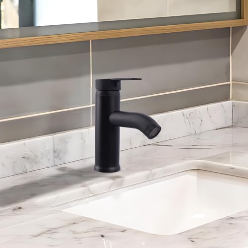 FALSKT 304 Stainless Steel Kitchen Tap, Bathroom Tap with Hose, Bathroom Tap, Ceramic Valve Core, Single Lever Washbasin Mixer for Guest Toilets (Black)
