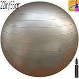 Fitness Ball: Silver, 22in/55cm Diameter, Includes 1 Ball +1 Pump + 1 Page Instruction Chart. No instructional DVD. (Exercise Gym Swiss Stability Ball)