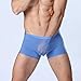 TONSEE Men Sexy U-Shaped Ice Silk Boxer Brief Underwear (M, Blue)