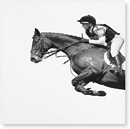 Mike Kathleen Wall Art Decor Knight Horse Jumping (2) for Living Room Decorations 15.7x15.7 inch