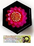 Jittasil Hand-Carved Soap Flower, Gerbera Daisy scented in Wood Gift-Set, 4 Inch