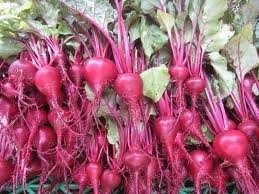 The Dirty Gardener Heirloom Detroit Dark Red Beets - 1 Pound