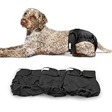 Paw Inspired Washable Dog Diapers