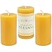 Bee Hive Candles 100% Pure Beeswax Pillar Candle (2